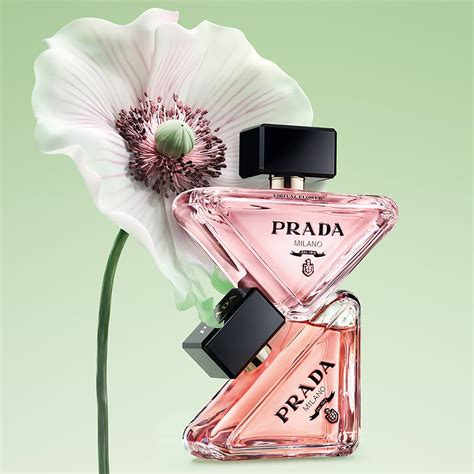 prada paradoxe voda.